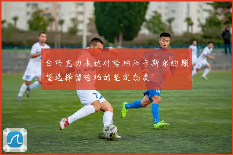 白巧克力表达对哈珀和卡斯尔的期望选择留哈珀的坚定态度